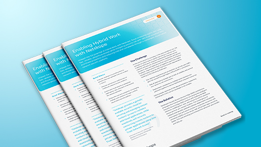Enabling Hybrid Work with Netskope - Netskope