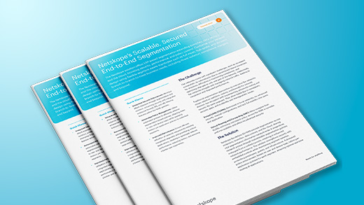 Netskope’s Scalable, Secured End-to-end Segmentation - Netskope