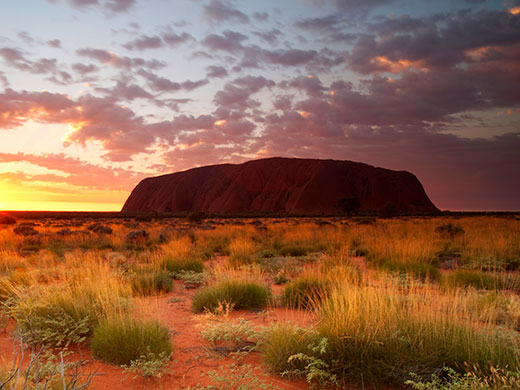 Netskope for Australian Government